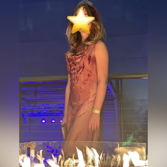 Carrie Costume (includes dress, wig, crown) - Picture 1 of 5